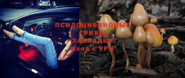 гидра Алексин