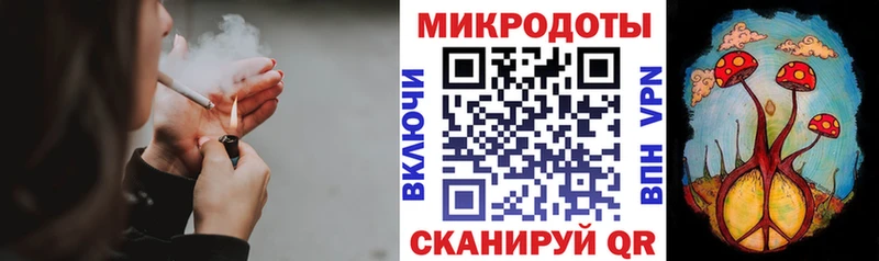 Галлюциногенные грибы Psilocybine cubensis  Феодосия 